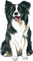 Dog lover watercolor adorable animal png