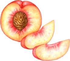 Pfirsich Obst Aquarell Elemente Clip Art png