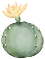 jardinería acuarela elementos clipart png