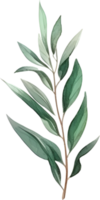 verde hoja acuarela elemento png