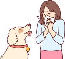 Little girl with dog suffers from allergies or rhinitis and blows nose into paper napkin png