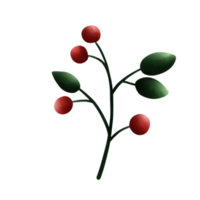 Red cherry tree branch png