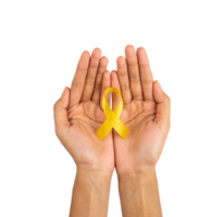 Two hand holding awareness yellow ribbon isolated png