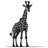 Giraffe Vector Silhouette, black and white Giraffe Logo concept.