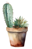 acquerello accogliente carino cactus. ispirazione citazioni. casa giardinaggio. Casa impianti. ai generato illustrazione. png