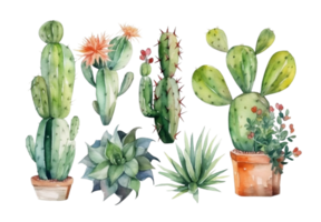 acquerello impostato di accogliente carino cactus e succulento impianti. ispirazione citazioni. casa giardinaggio. Casa impianti. ai generato illustrazione. png