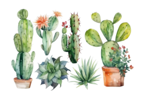 waterverf reeks van knus schattig cactussen en sappig planten. inspiratie citaten. huis tuinieren. huis planten. ai gegenereerd illustratie. png