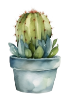 Watercolor cozy cute cactus. Inspiration quotes. Home gardening. House plants. illustration. png