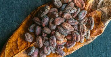 Top view of dried brown cocoa beans on cocoa leaves, raw material for making chocolate. photo