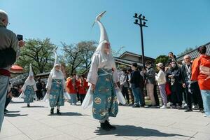 tokio, Japón - abril 9, 2023 blanco garza danza desfile en sensoji templo foto