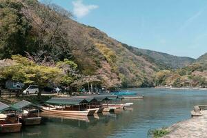 KYOTO, JAPAN - April 4, 2023 Boats in Katsura River in Arashiyama district with cherry blossom in spring time photo