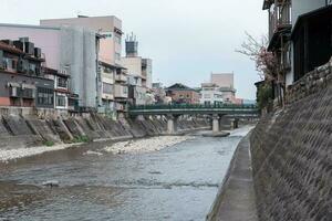 takayama, Japón - abril 5, 2023 yanagibashi puente, tradicional japonés verde puente con sakura Cereza florecer en abril foto