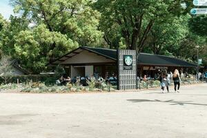 TOKYO, JAPAN - APRIL 8, 2023 Starbucks coffee shop in Ueno park during springtime in April photo