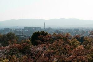 View of Kyoto city photo