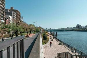 TOKYO, JAPAN - APRIL 9, 2023 People enjoy walking at Sumida reiver walk photo