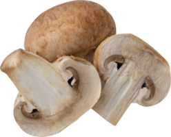 cremini mushroom cut out on transparent background. png