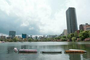 TOKYO, JAPAN - APRIL 8, 2023 People riding swan paddle boats in Shinobazu Pond in Ueno park with cherry blossom sakura photo