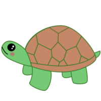 cute turtle design png