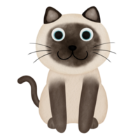 siamese gatto sedersi acquerello illustrazione png