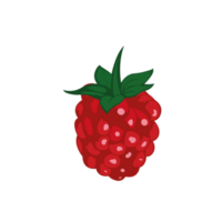 Raspberry with leaf. Raspberry icon clipart. Raspberry cartoon. png