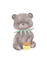 Illustration of cute baby bear, forest wild animal bear, fabulous animal, cartoon bear png