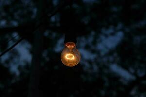 photo of yellow light bulb glowing at night