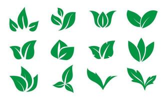 vector green leaf icons set on white background.