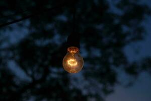 photo of yellow light bulb glowing at night