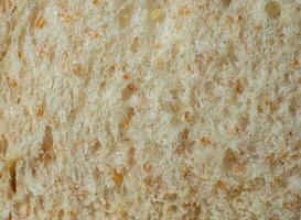 Macro or Close up bread. Lines, tissue or bread texture. Close up view of bread texture. photo