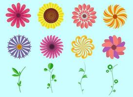 Cute flowers with branches collection vector