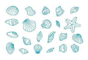 Hand drawn seashells. Marine doodle set with seastars and mussels. Collection of shell, sink and starfish. Perfect for invitations, fabric, textile, linens, posters, prints, banners vector