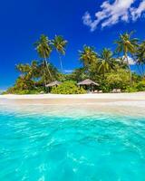 Beach landscape in beautiful sunlight. Exotic nature as tropical scenery with palms and peaceful blue sea. Natural colors and light, summer nature background concept, inspirational and motivational photo