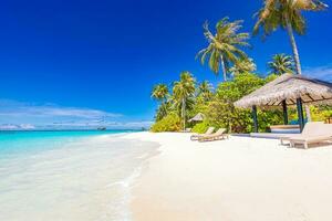 playa paisaje en hermosa luz de sol. exótico naturaleza como tropical paisaje con palmas y pacífico azul mar. natural colores y luz, verano naturaleza antecedentes concepto, inspirador y motivacional foto