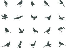 Bird silhouette, Flying bird silhouette, Bird silhouettes vector