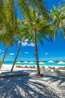 ocio descansando relajarse vacaciones playa bar azul paraíso mar y Coco árbol en viaje fácil lento frío refresco verano ubicación utilizando para Copiar espacio antecedentes servicio alcohol bebida foto