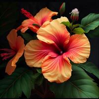 Beautiful hibiscus flowers very realistic photo