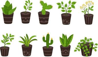 set of Indoor Houseplant For Home decor and Gardening, Potted Plant for Interior decoration vector