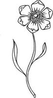 Wild Flower, hand drawn vector illustration, floral line drawing, line art, vector