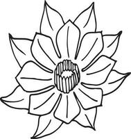 Poppies nenuphars flowers continuous line drawing. Editable line. Black and white art vector