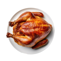 Thanksgiving turkey isolated. Illustration png