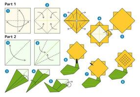 girasol origami esquema tutorial Moviente modelo. origami para niños. paso por paso cómo a hacer un linda origami flor. vector ilustración.