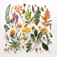 surtido hojas y flores ilustración ai generativo foto