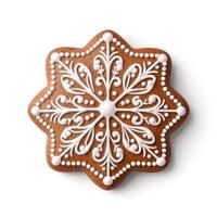 Gingerbread cookie isolated. Illustration photo