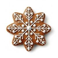 Gingerbread cookie isolated. Illustration photo