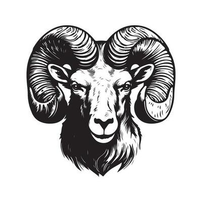 ram, vintage logo line art concept black and white color, hand drawn illustration