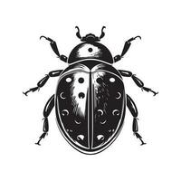 ladybug, vintage logo line art concept black and white color, hand drawn illustration vector