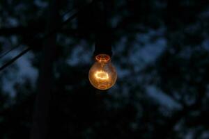 photo of yellow light bulb glowing at night