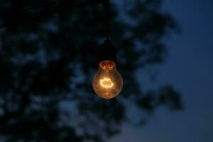 photo of yellow light bulb glowing at night