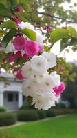 blanco flor con verde fondo, real claro foto chino Suzhou jardín púrpura ai generado