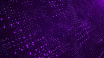 Purple Digital Dots looped technology Background appears and disappears, looped video